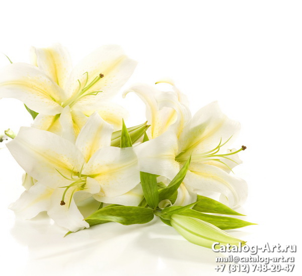 White lilies 20